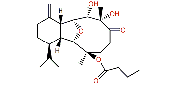 6-Keto-litophynol B